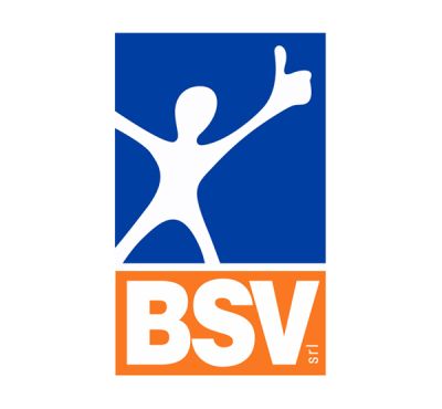 bsv-logo
