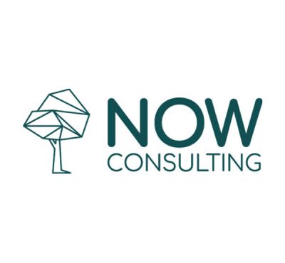 now-consulting-logo